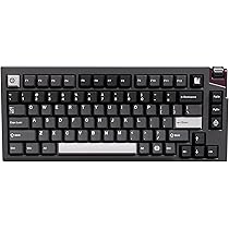 Amazon.co.jp: LUMINKEY LUMINKEY75 V2 Wired Deep Space Gray